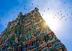 墨西哥、中国之后，特朗普又对印度