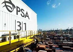 沙特又出新规！违者或罚款13500美元