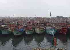 印度港口因飓风被迫停航、吉大港拥堵、货物滞留！做好出货安排！