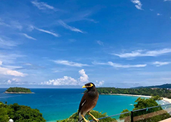 有赞更新发货管理：门店仅可查看本单元单据