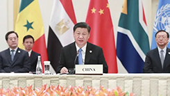 习近平G20峰会宣布5项重大举措，进一步扩大对外开放，自主降低关税水平、大力推动经贸谈判