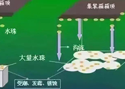 集装箱里进水，谁的错？如何预防应对？