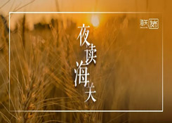 夜读海关 |黄埔海关查扣侵权货物约192万件；海关主动披露新政让企业吃下“定心丸”