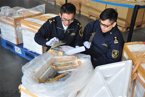 深圳海关推31项改革措施优化营商环境