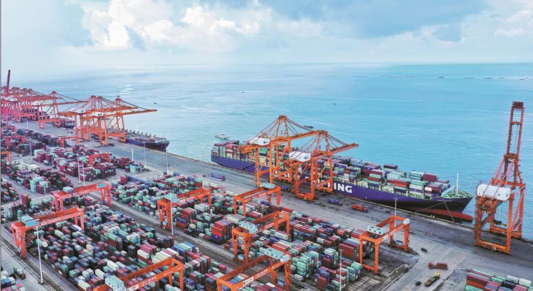 两步申报指南：涉税货物的缴税申报操作指引