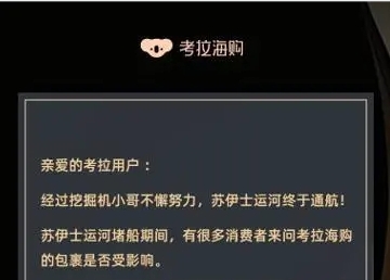 海淘包裹“晚到必赔”，考拉海购用户服务再升级