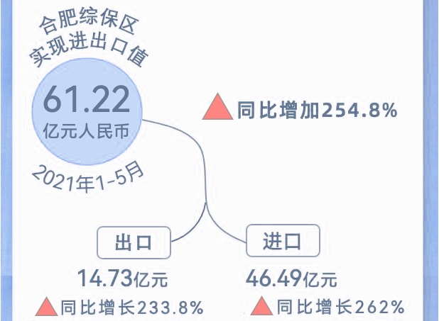 增长254.8%！今年前5个月合肥综保区进出口值实现61.22亿！