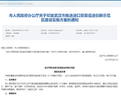 释放跨境电商进口潜力|武汉市推进进口贸易促进创新示范区建设实施方案