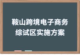 打造跨境电子商务直播之城，中国（鞍山）跨境电子商务综合试验区实施方案印发