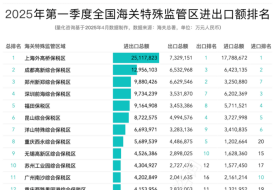 2025年第一季度全国综合保税区(海关特殊监管区)进出口额排名榜单