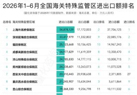 2026年6月及上半年全国173个海关特殊监管区(综合保税区)进出口贸易额排名分析