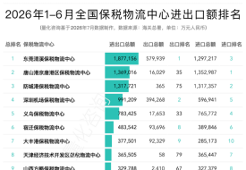 2026年6月及上半年全国89个保税物流中心进出口额分析及排名榜单