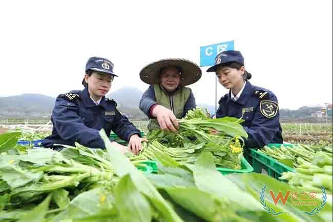 广州海关支持清远名优新特产品成为粤港澳大湾区品牌名片—货之家