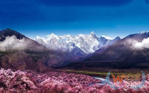 林芝保税仓,保税区仓储物流,进口跨境电商,保税仓库管理,跨境电商保税BBC—货之家