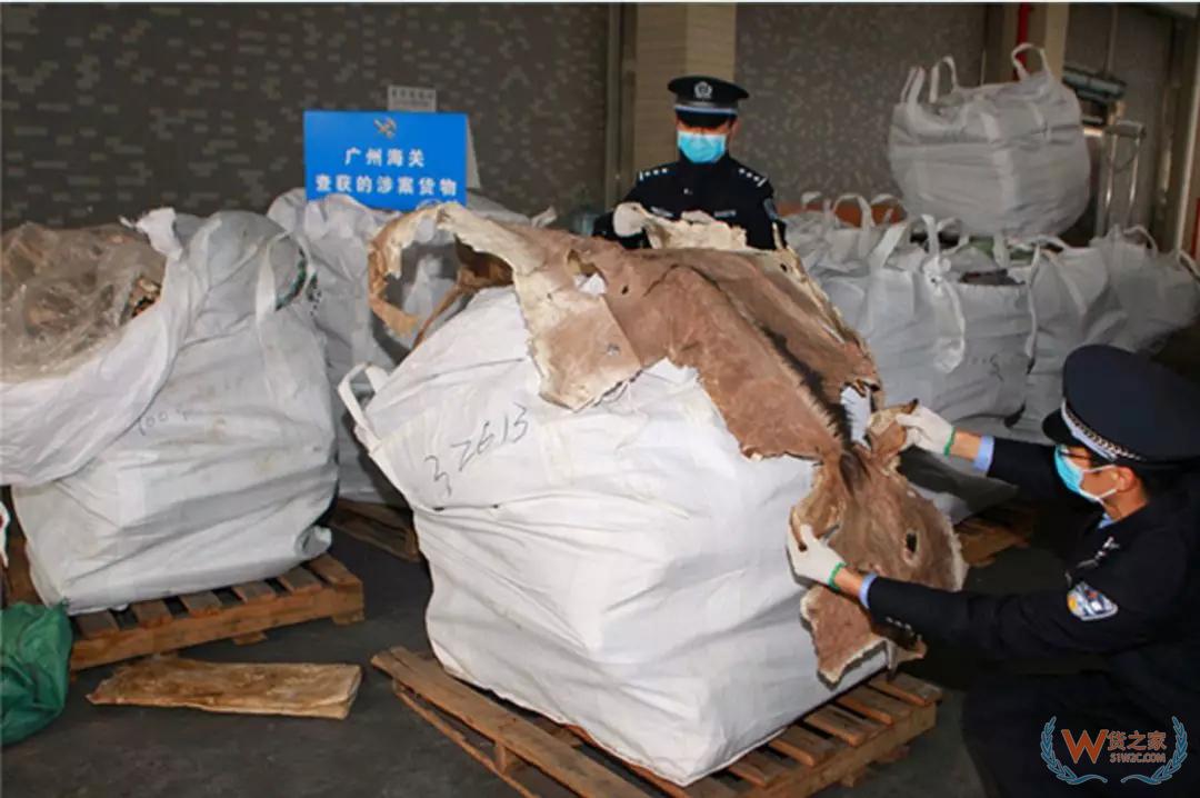 案值约8200万！广州海关破获洋酒、宠物食品铁路走私大案——货之家