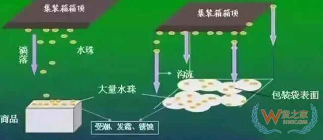 集装箱里进水，谁的错？如何预防应对？——货之家