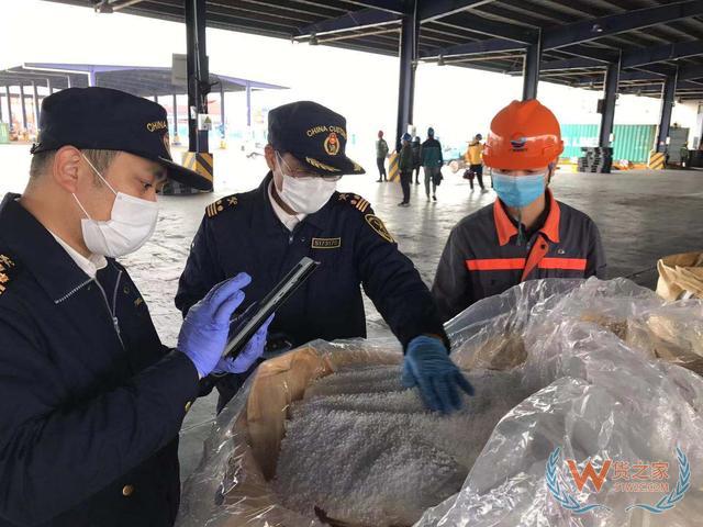 进出口企业“不出门”即可办理海关查验业务—货之家