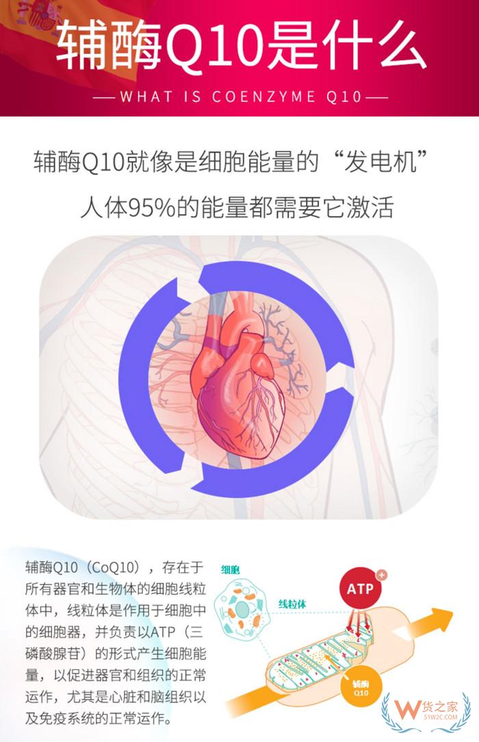 西班牙DIGAPLUS辅酶Q10咀嚼片30粒/盒