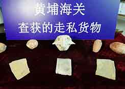  厦门海关在进境集装箱中截获活鼠，广西北海综合保税区