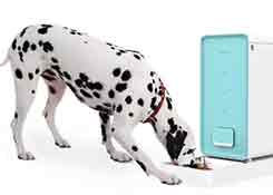 亚马逊宠物用品大牌获C轮融资 智能养宠市场蛋糕越来越大