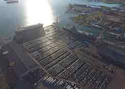 标识不合规范，中国海关“扣押”1600辆特斯拉Model 3