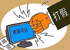 2019中国315消费者权益调查报告电商篇