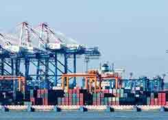 海关严查 多位卖家被罚 竟然都是这个原因