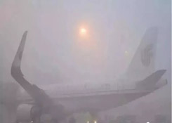 预警！天津、青岛港等北方港口持续遭遇大雾出现大面积延误！