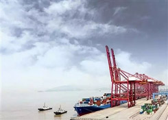 十大集装箱口岸营商环境排名出炉：厦门、青岛、广州、宁波排名居前
