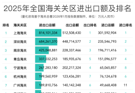 2025年中国海关关区进出口贸易全景报告：42个关区排名与深度解析
