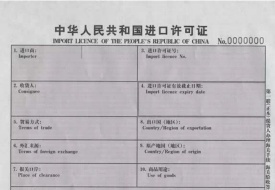进口许可证填报指南：模板详解与口岸填写规范