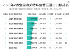 2026年2月及1-2月173个海关特殊监管区(综合保税区)进出口贸易额排名榜单