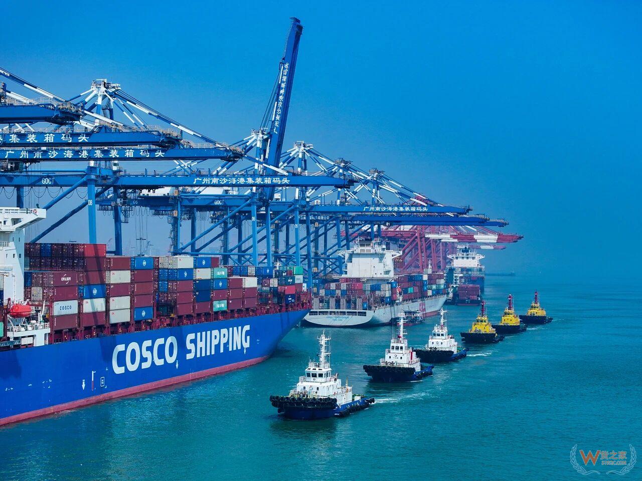 跨境电商进口清关重点监管成分，12月跨境进口关务新情况